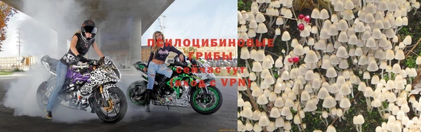 эйфоретик Зерноград