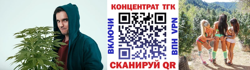 купить наркотики цена  мега   ТГК гашишное масло  Новороссийск 