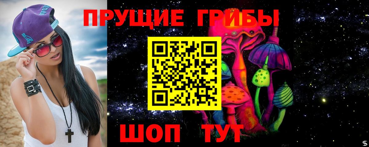 Новороссийск  Псилоцибиновые грибы мухоморы  Псилоцибиновые грибы MAGIC MUSHROOMS  Вход с VPN 