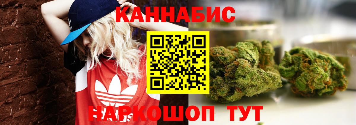 МАРИХУАНА конопля Новороссийск