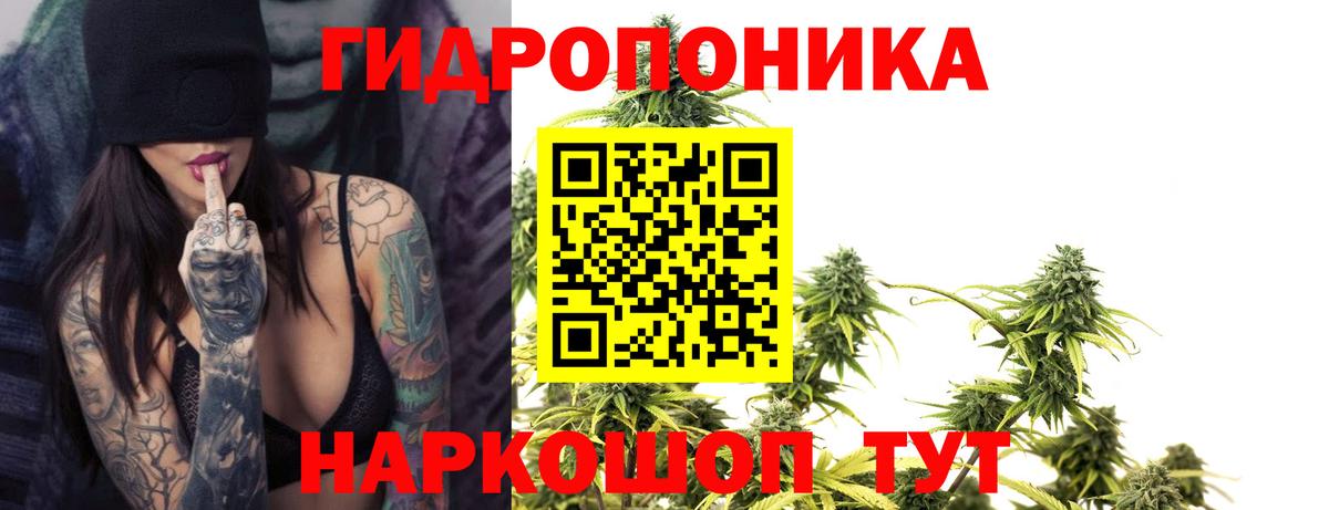 Шишки марихуана план  Вход с VPN  Новороссийск  Бошки Шишки планчик  Шишки марихуана Amnesia  Шишки марихуана ГИДРОПОН 